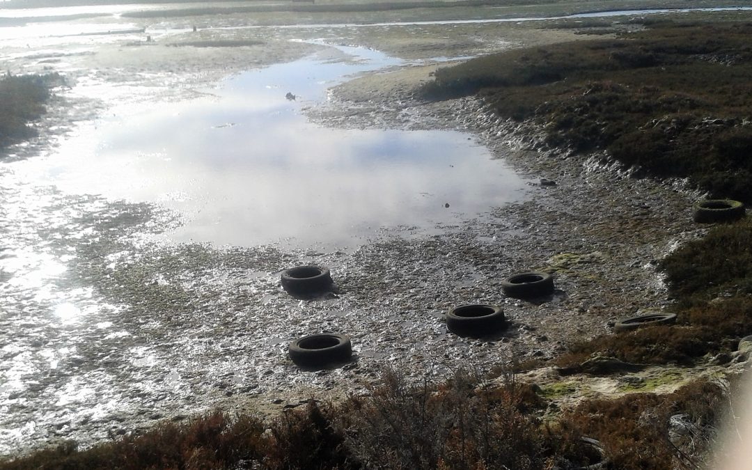 Ação de sensibilização para a limpeza da Ecovia da Fuseta