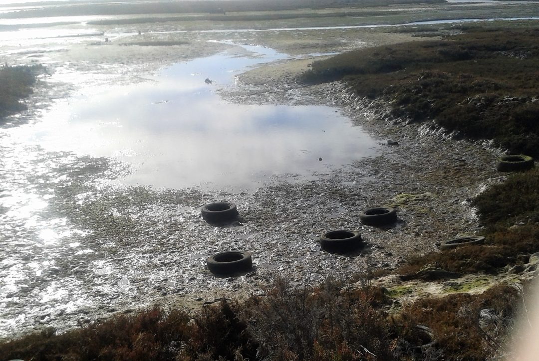 Ação de sensibilização para a limpeza da Ecovia da Fuseta