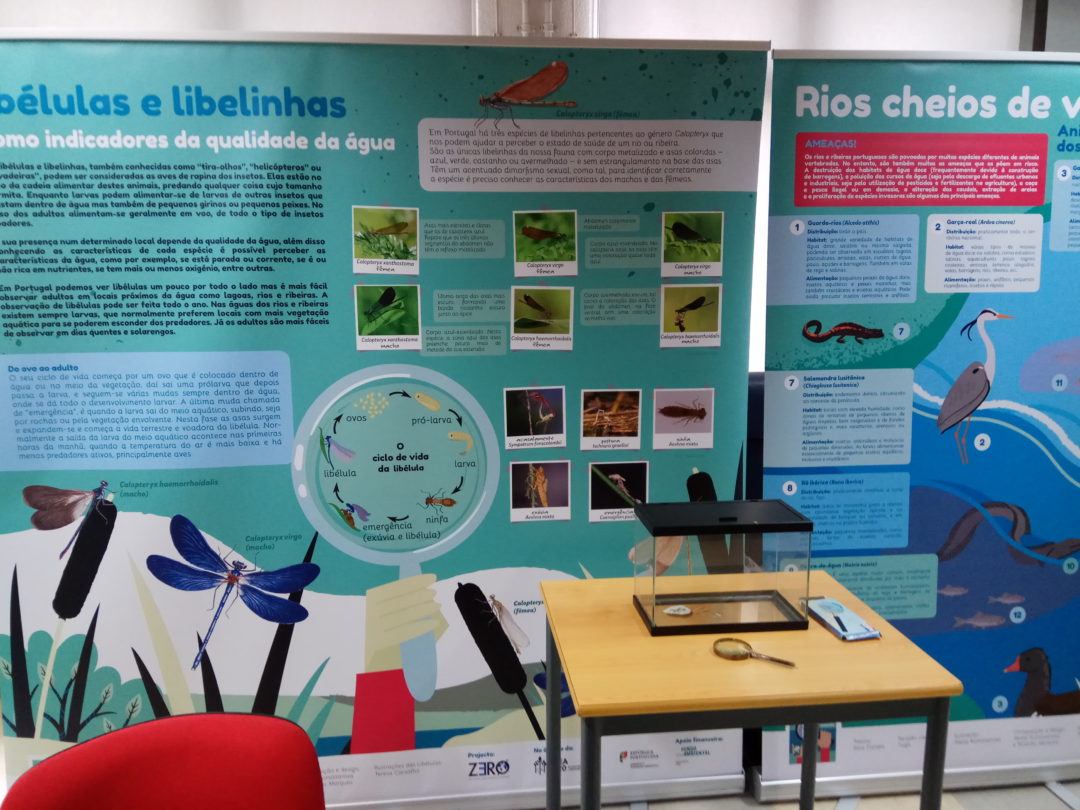 “Os nossos rios e ribeiras”