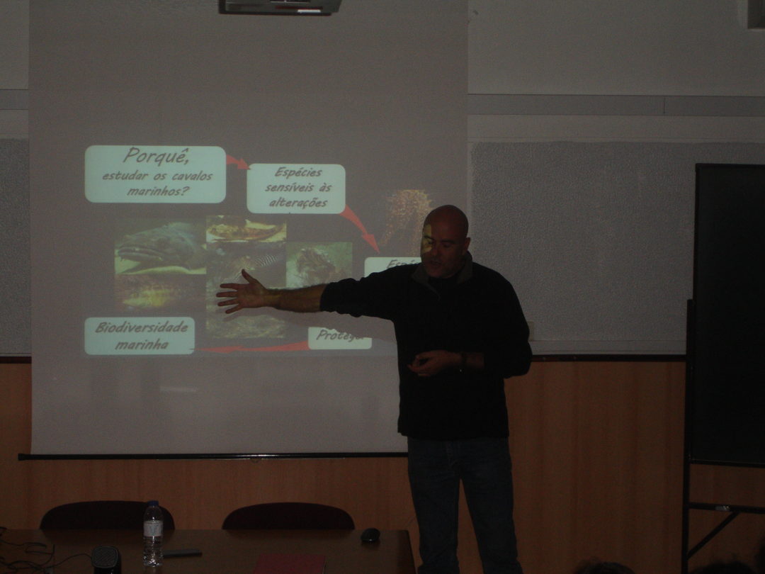 No Reino do Cavalo Marinho