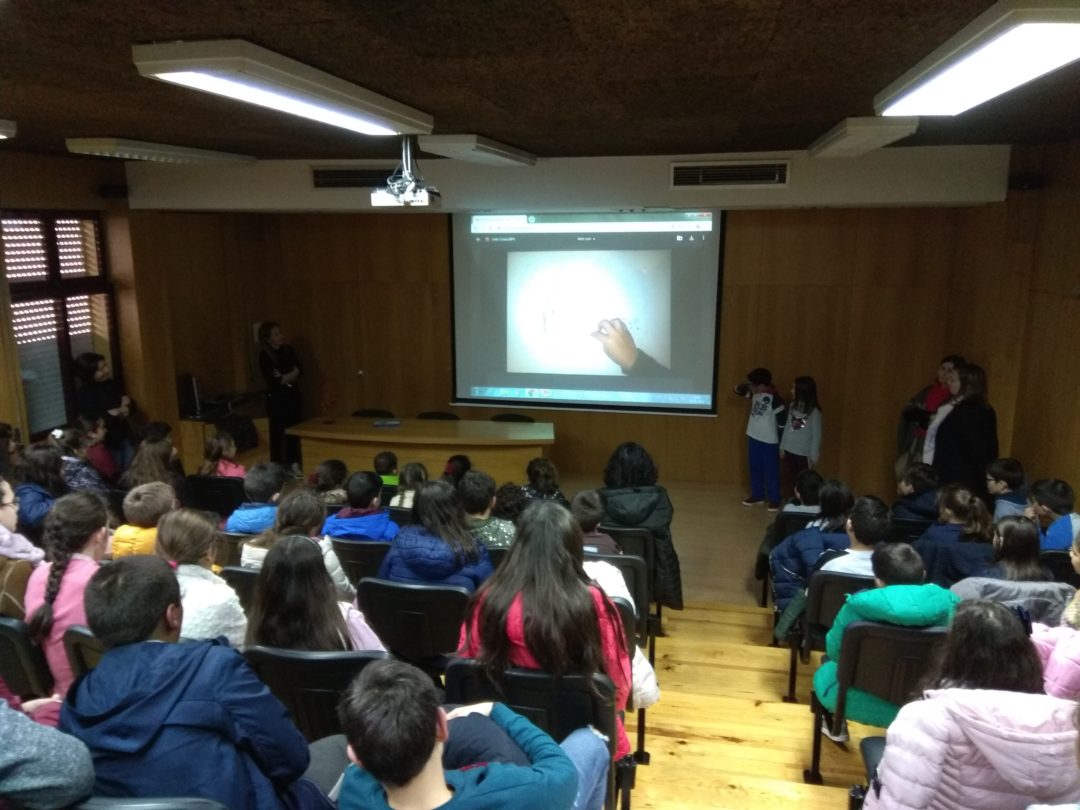 Apresentação do Livro: O Ratinho Marinheiro