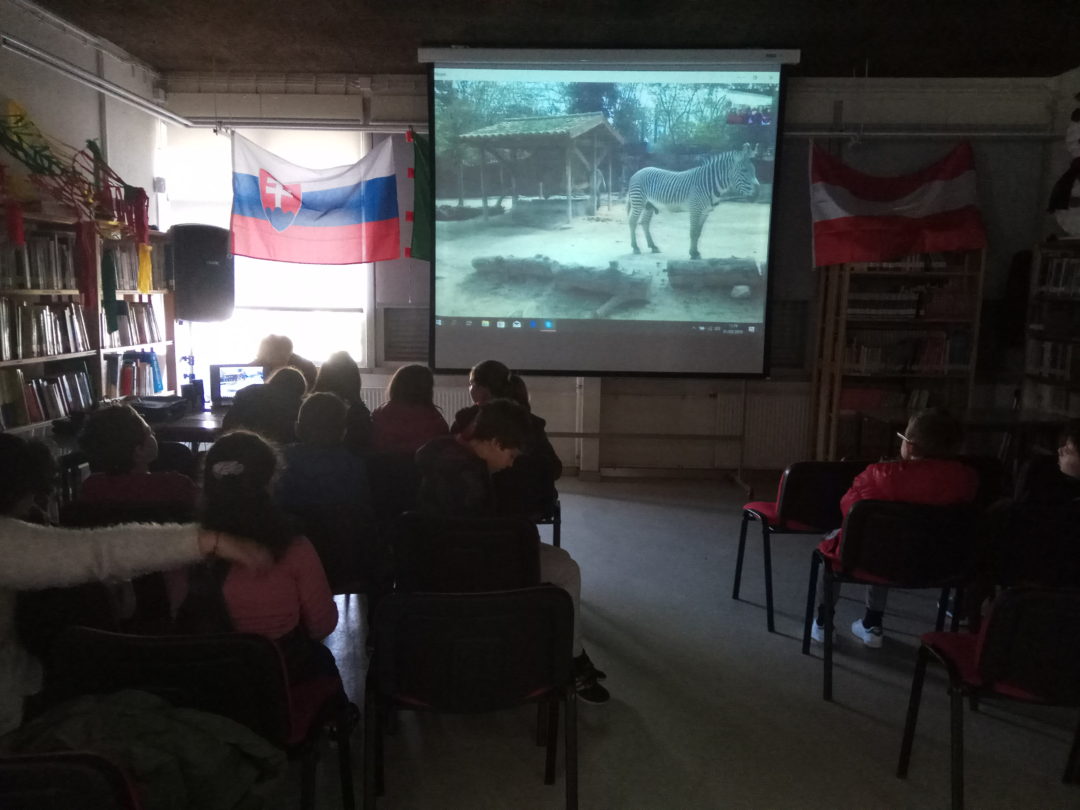 Descobrindo a biodiversidade