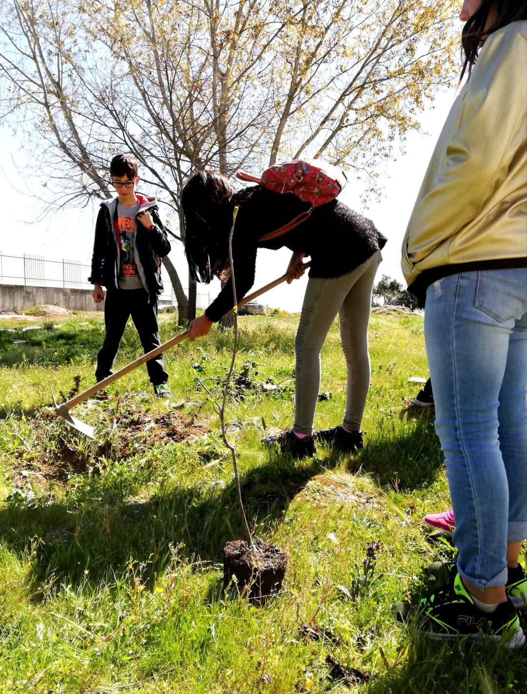 Plantar uma árvore, Proteger o futuro