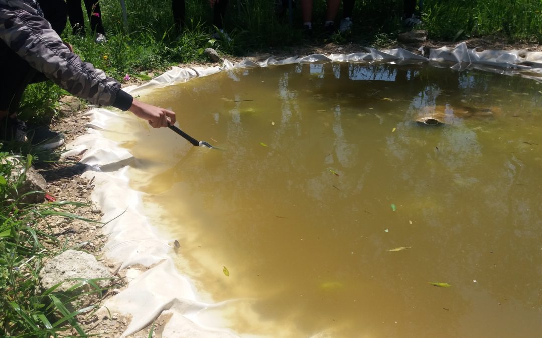 PROJETO – QUINTA DO CHARCO