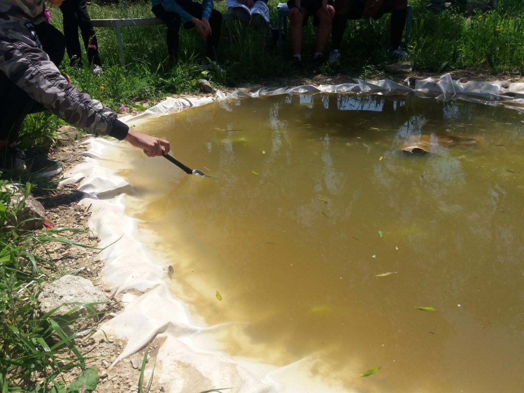 PROJETO – QUINTA DO CHARCO