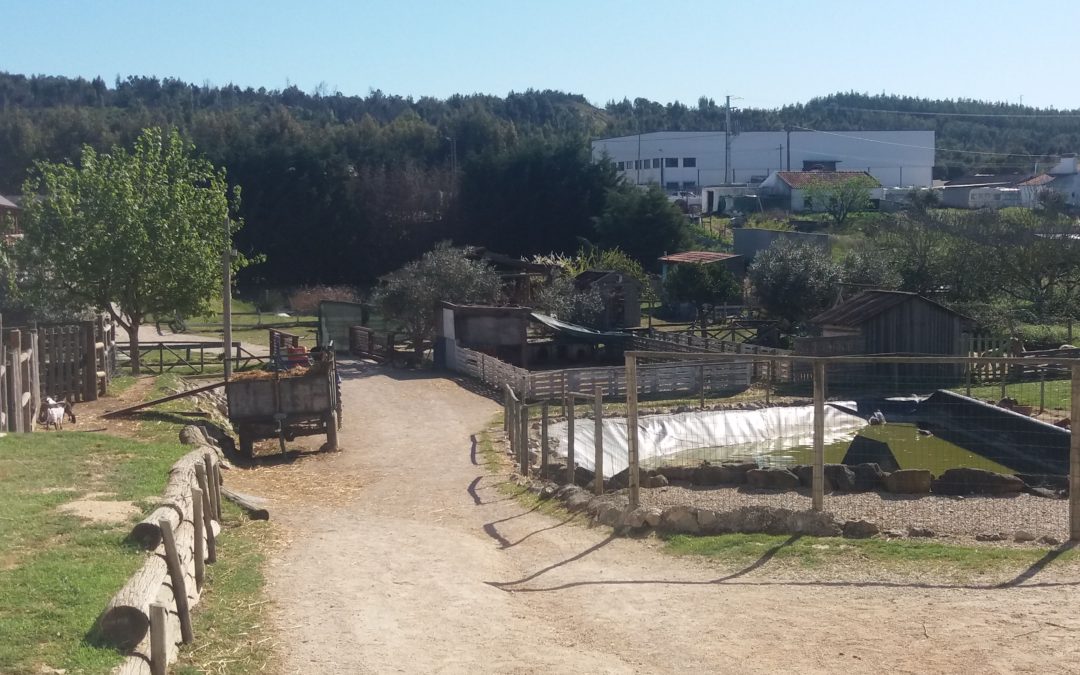 VISITA DE ESTUDO À QUINTA DO ALÃO RADICAL
