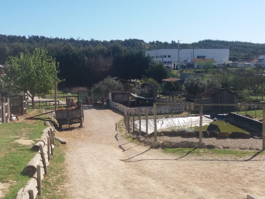 VISITA DE ESTUDO À QUINTA DO ALÃO RADICAL