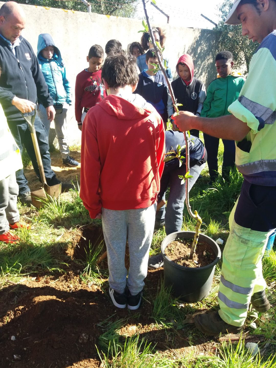 PLANTAÇÃO DE ÁRVORES – DIA INTERNACIONAL DAS FLORESTAS E DIA DO CARBONO