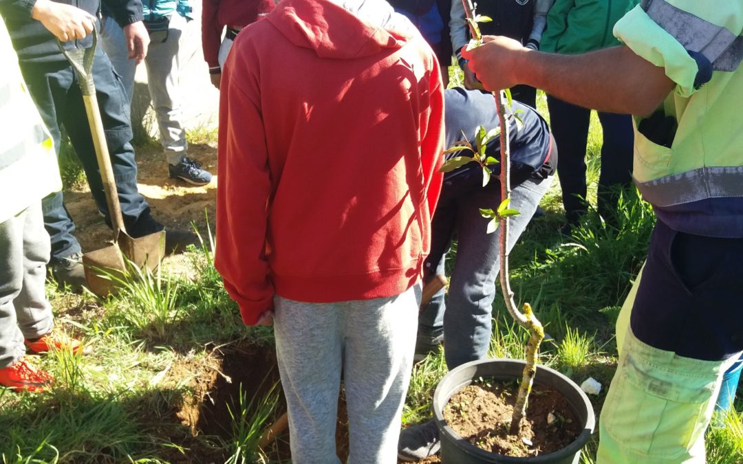 PLANTAÇÃO DE ÁRVORES – DIA INTERNACIONAL DAS FLORESTAS E DIA DO CARBONO