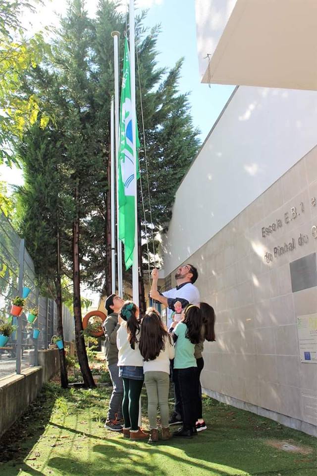 “Global Action Days” – novembro 2018