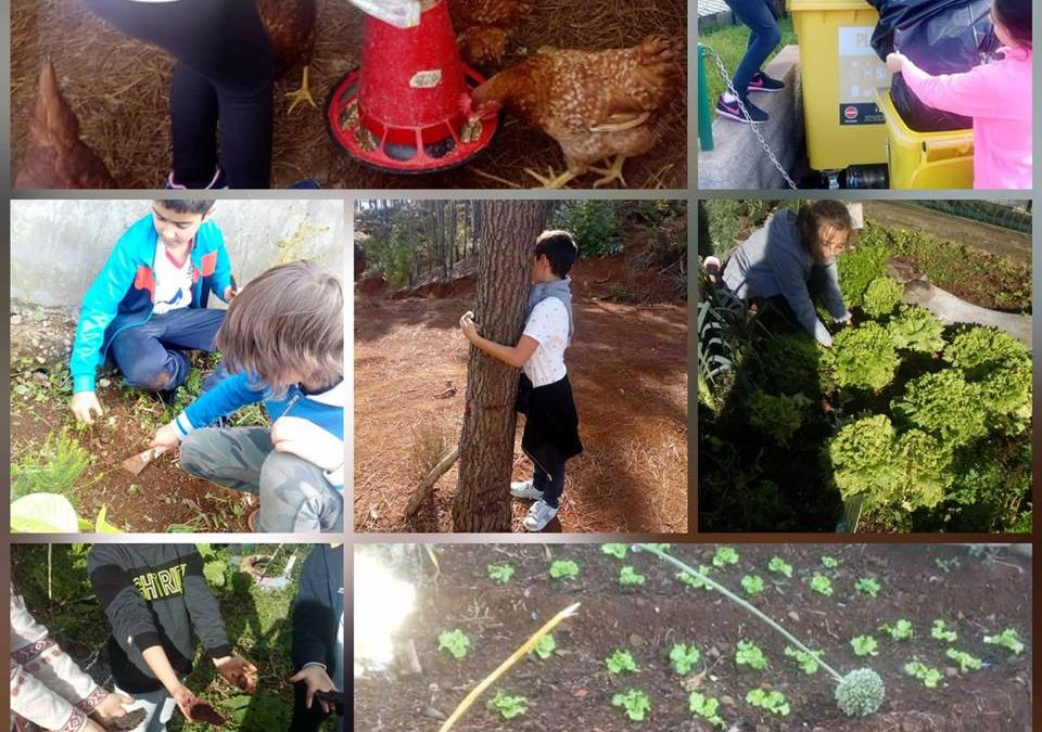 Alunos felizes na Natureza