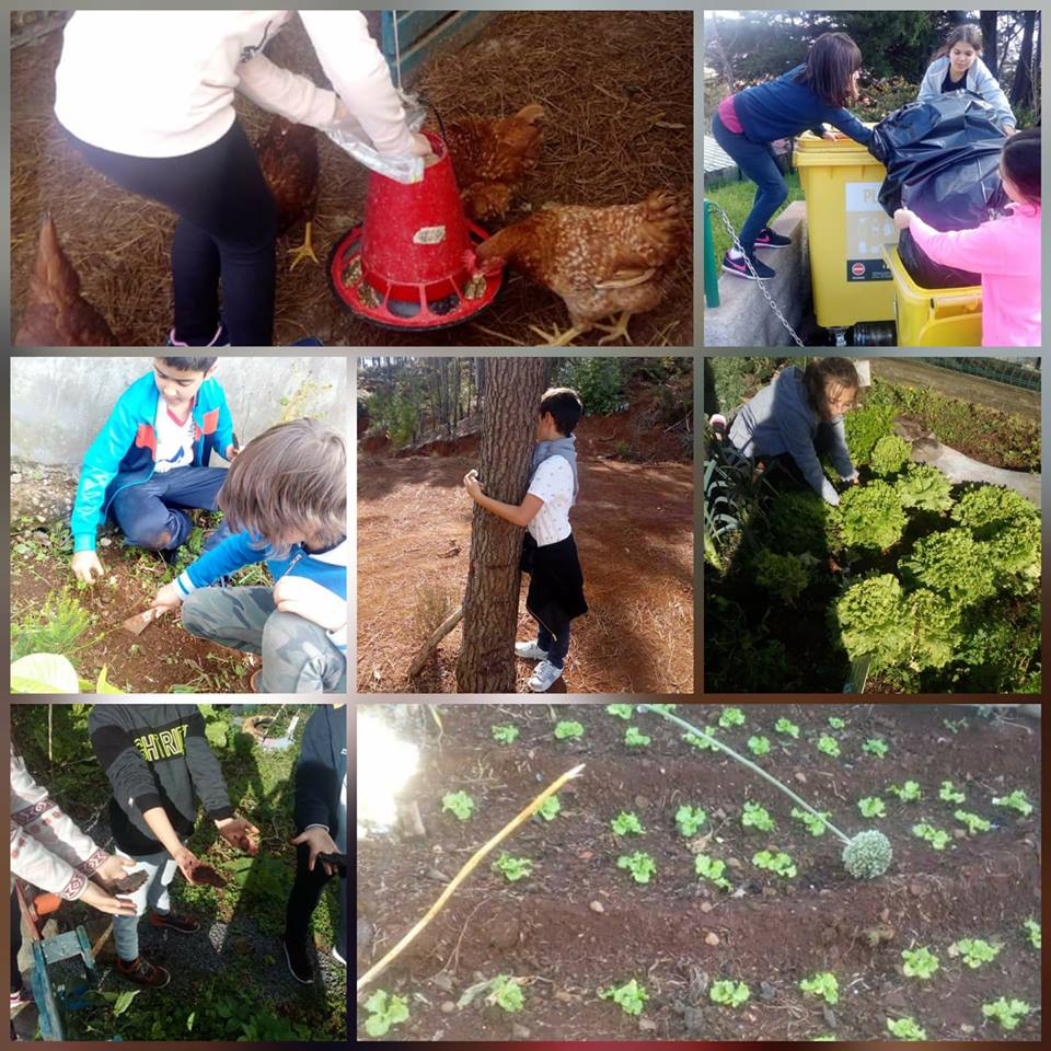 Alunos felizes na Natureza