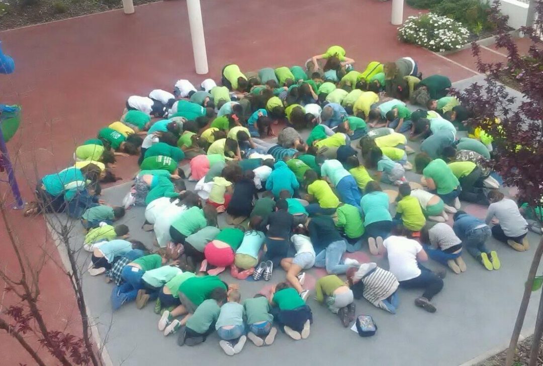 Dia Internacional da Terra