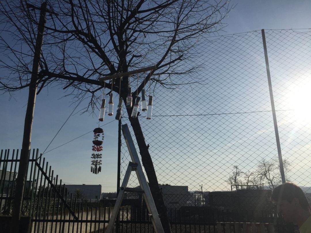 “Escola a corpo inteiro”