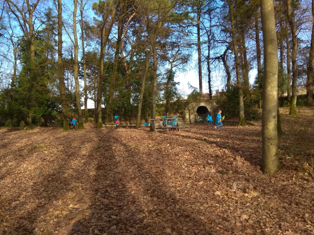 No INA, “A Natureza é a melhor sala de aula”