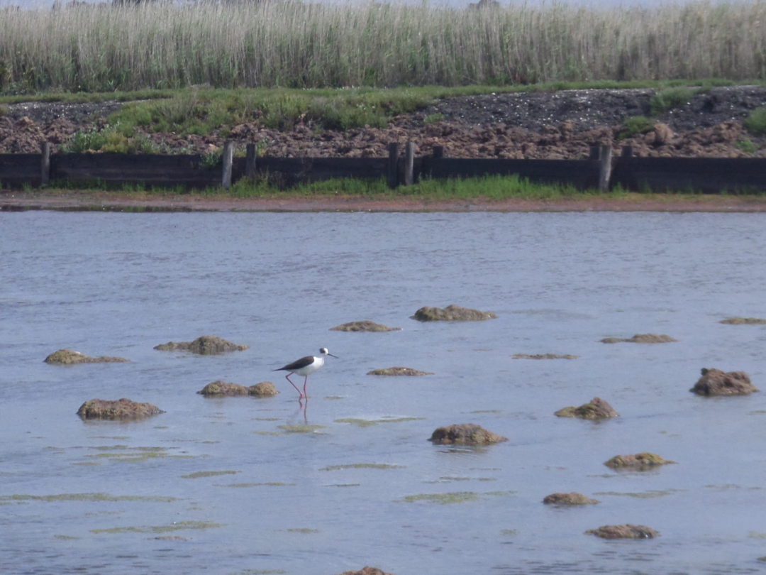 Visita de estudo a Aveiro