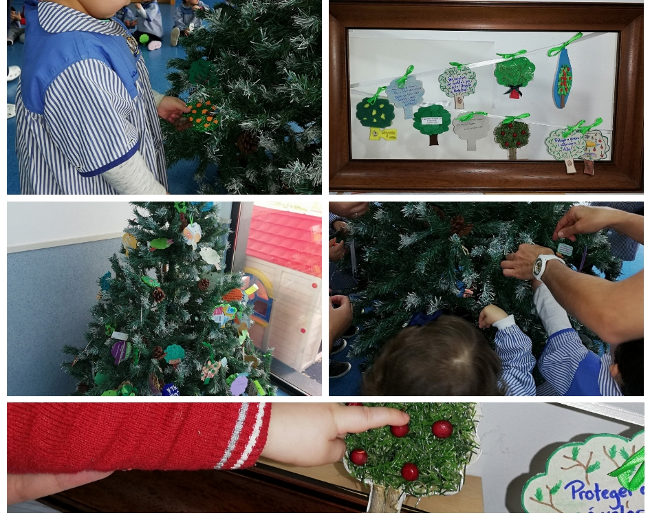 Dia Mundial da Árvore