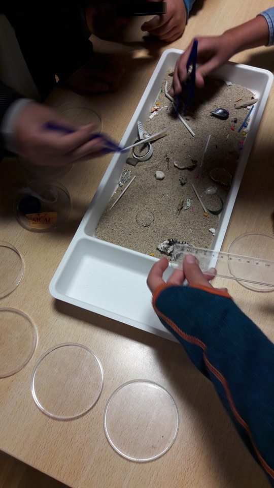 Plasticologia Marinha