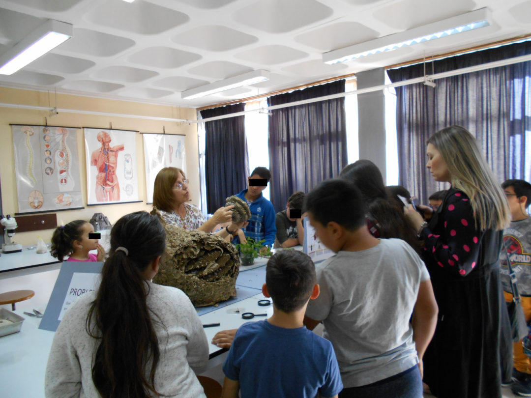 Oceano ou Plástico?