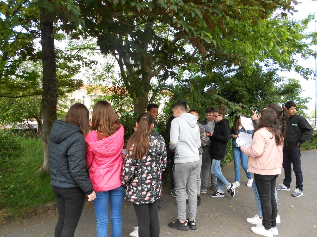 Comemoração do Dia da Terra – Identificação das árvores da minha Escola