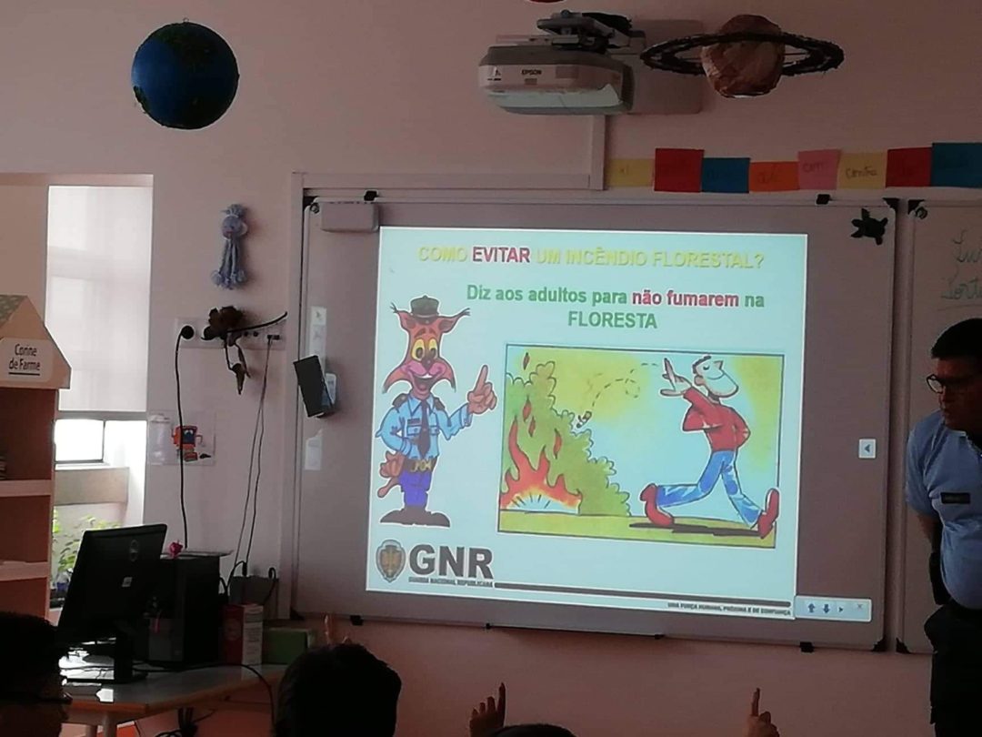 “Cuidados a ter na Floresta”