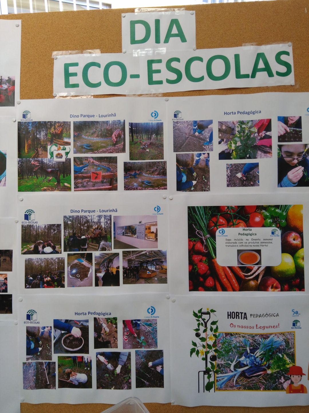 Dia Eco-Escolas – Global Action Days – Dia das Ciências