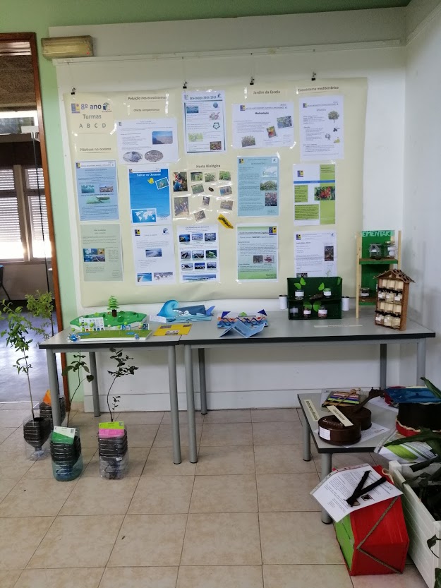 Eco-escolas – Oferta complementar do 8º ano