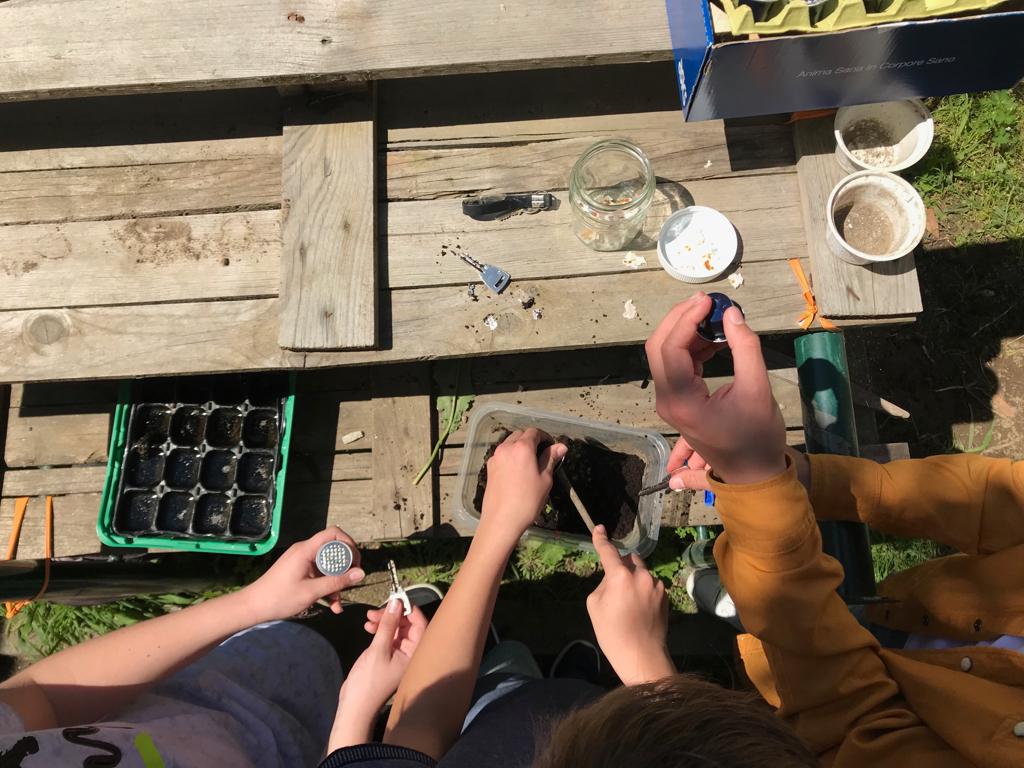 Sementeira na horta de São Martinho