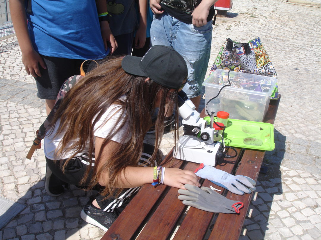 Monitorização de microplásticos na Ria Formosa