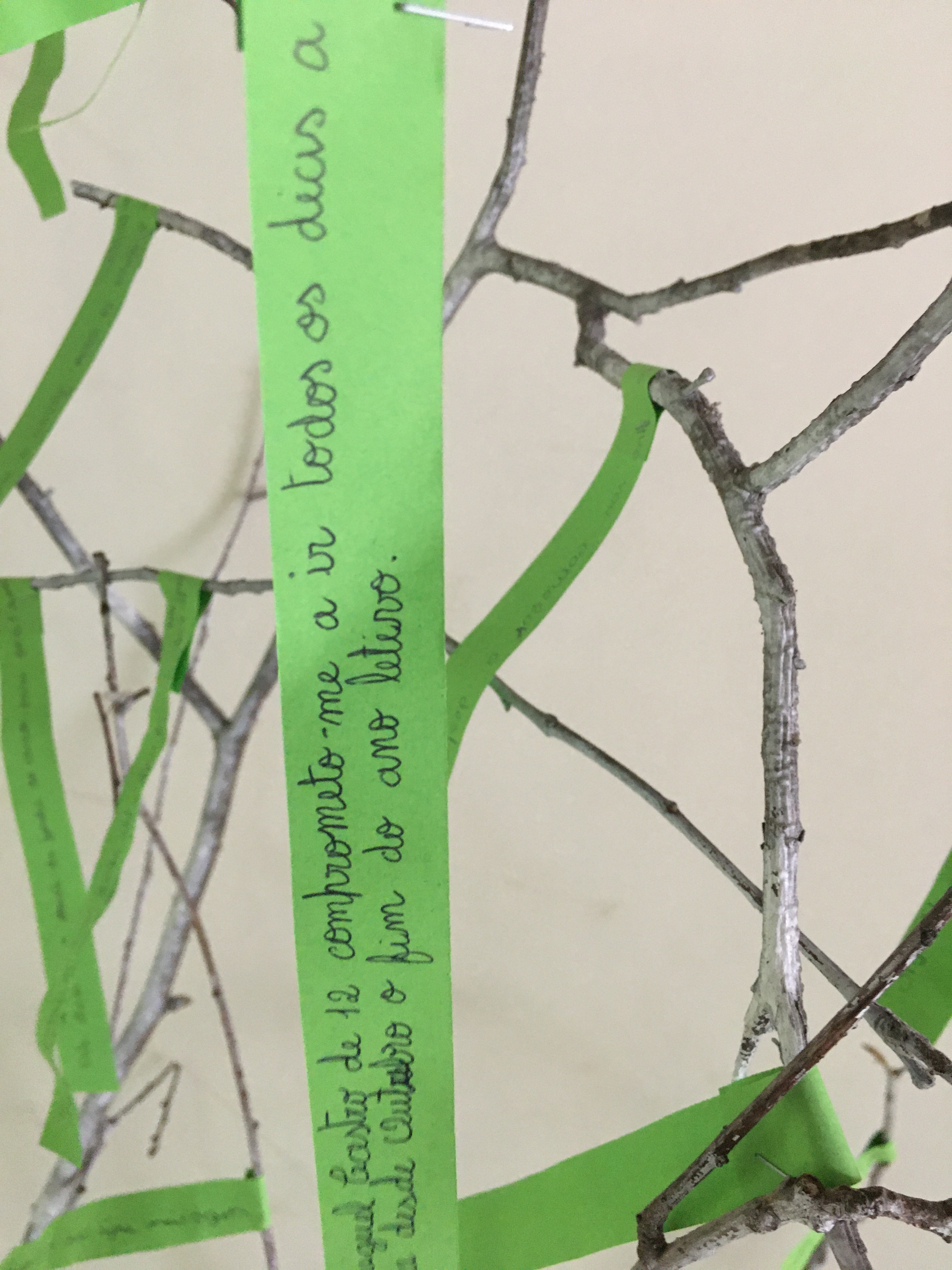 067F005F-77AA-4B71-81FD-3FD9C9393BAE