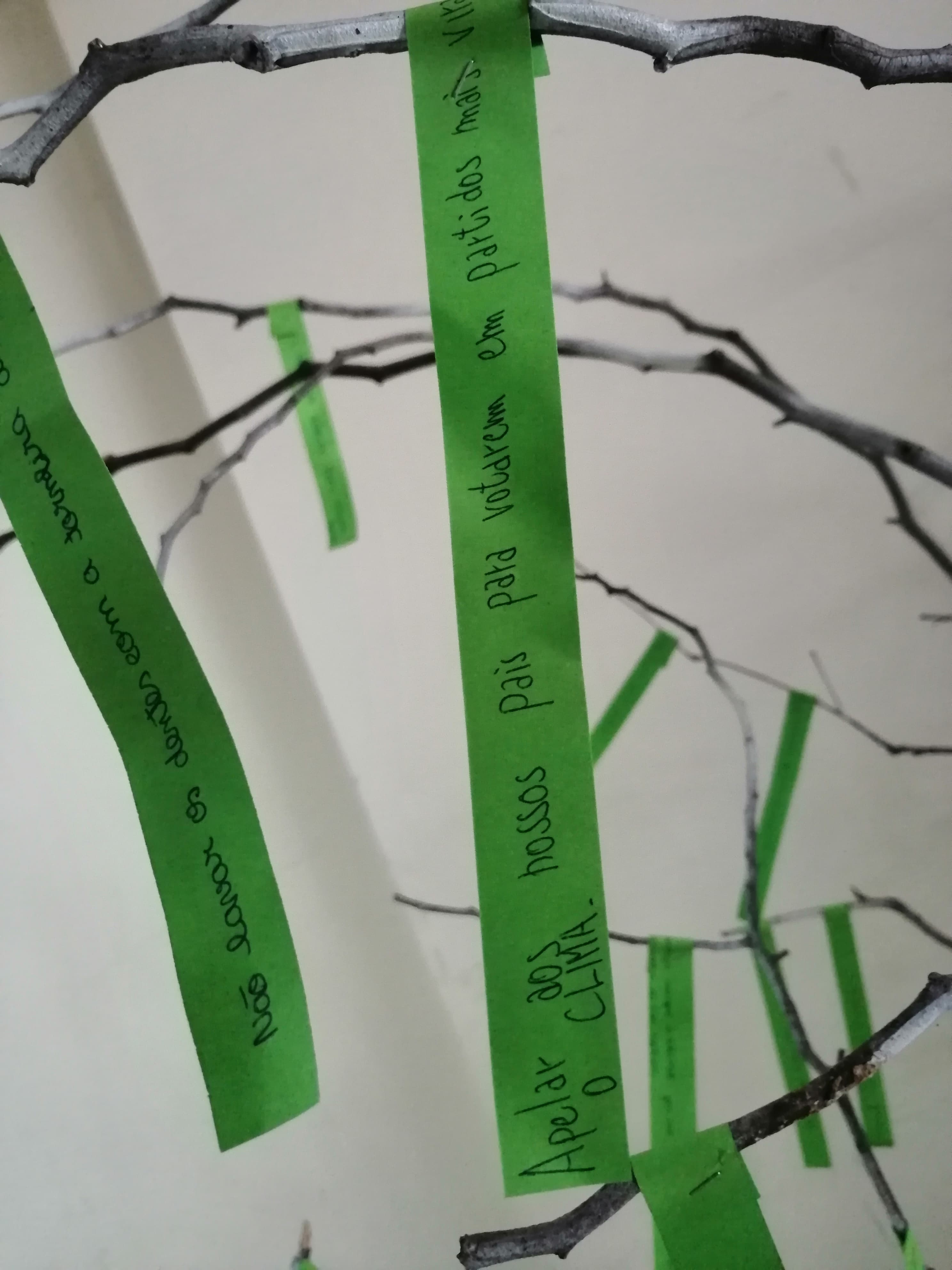 70203181_661130624414667_1222719847062831104_n (1)