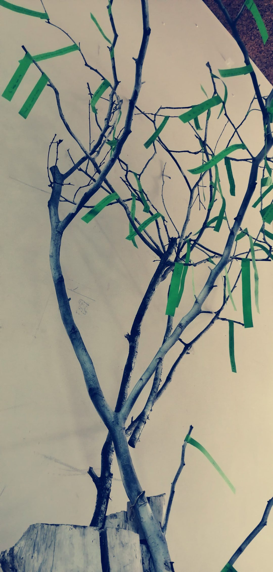 Ação pelo Clima – Árvore dos compromissos