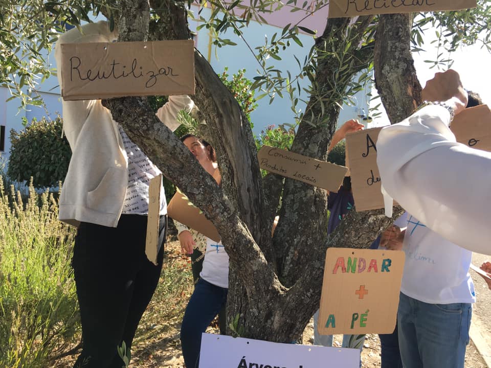 71345950_2077439039230902_6288379441911431168_n