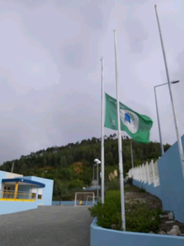 Juntos Pelo Ambiente!