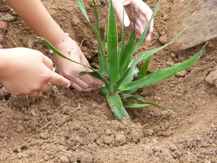 FB_IMG_1570020763591