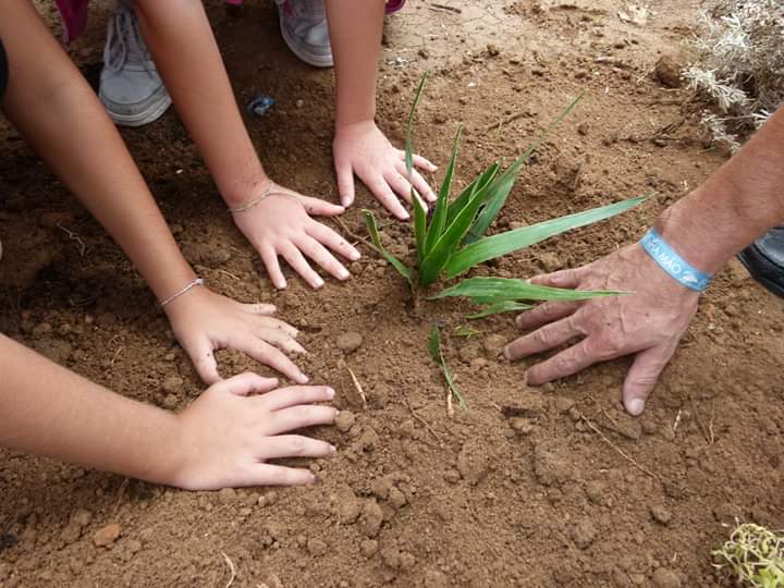 FB_IMG_1570020787430