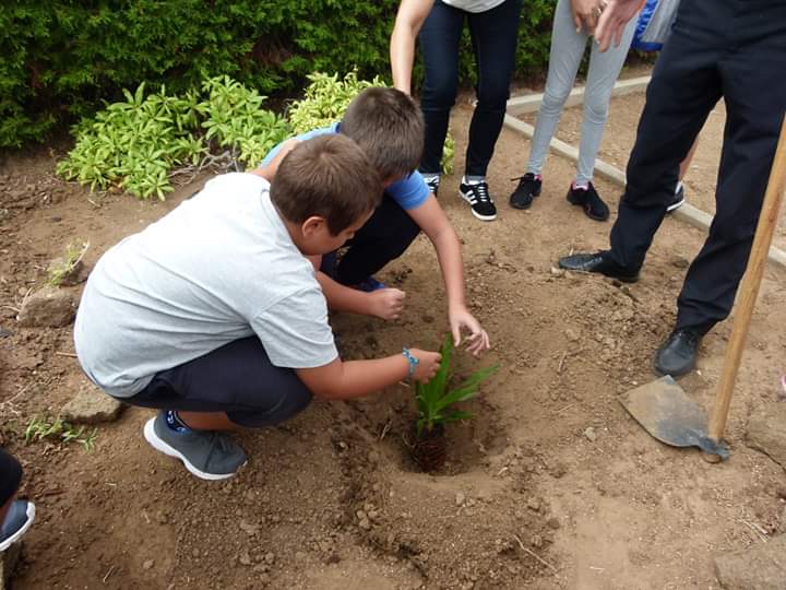 FB_IMG_1570020790714