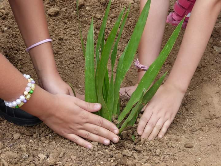 FB_IMG_1570020798422