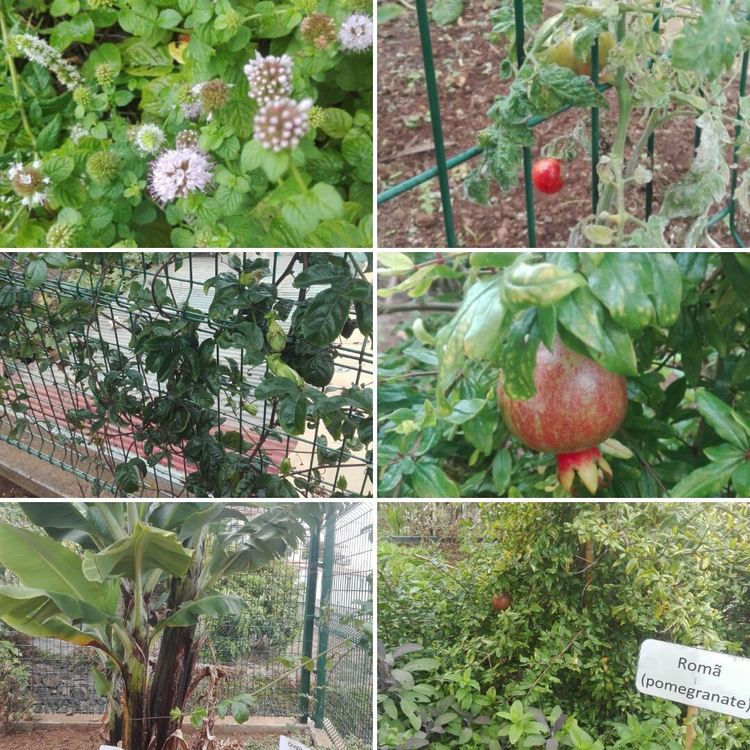 «Pelo nosso planeta!»