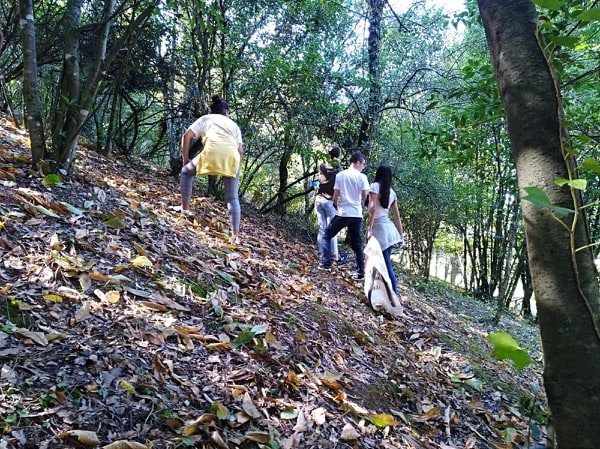 Pela Mata! Pelo Clima! Pelo Planeta!