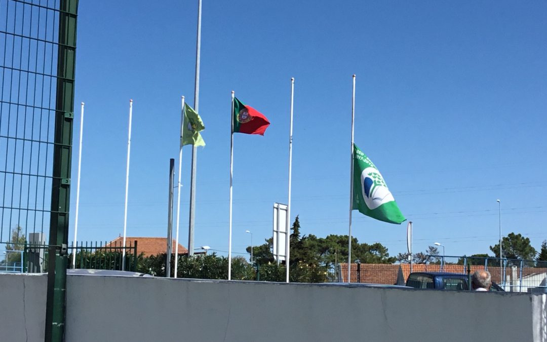 Colégio Campo de Flores – Greve Climática Global #fazpeloclima