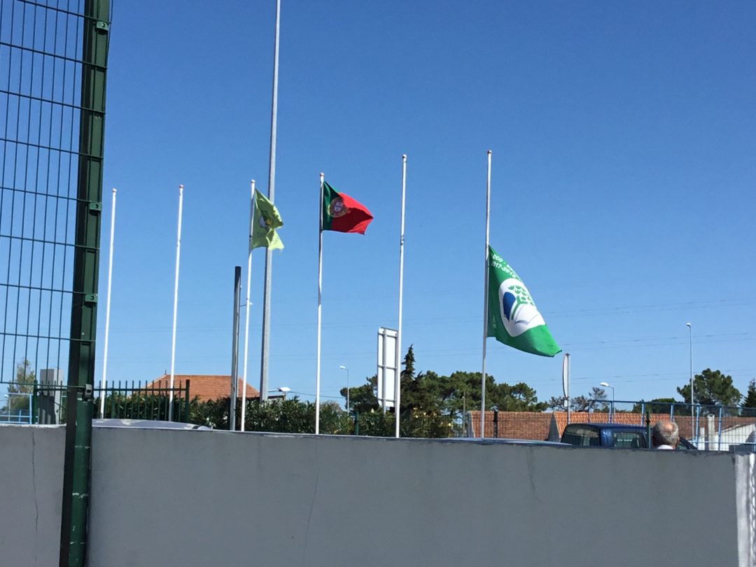 Colégio Campo de Flores – Greve Climática Global #fazpeloclima