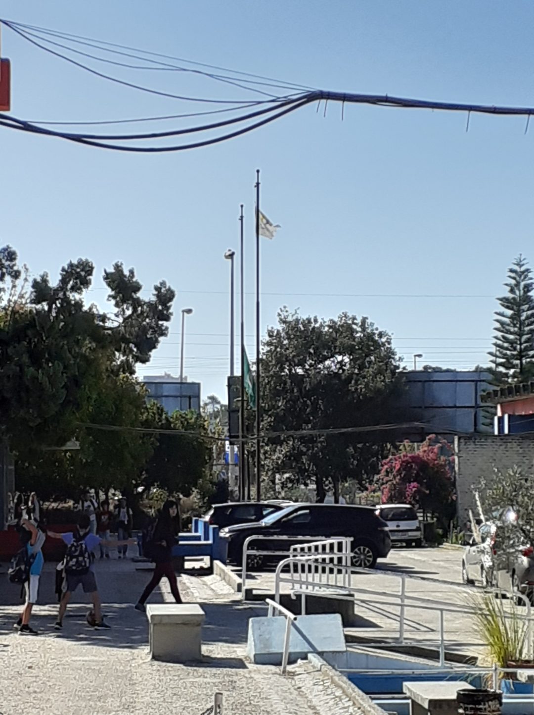 Escola Básica do 2.º e 3.º Ciclos de Álvaro Velho – Bandeira Verde Eco-Escolas a meia haste!