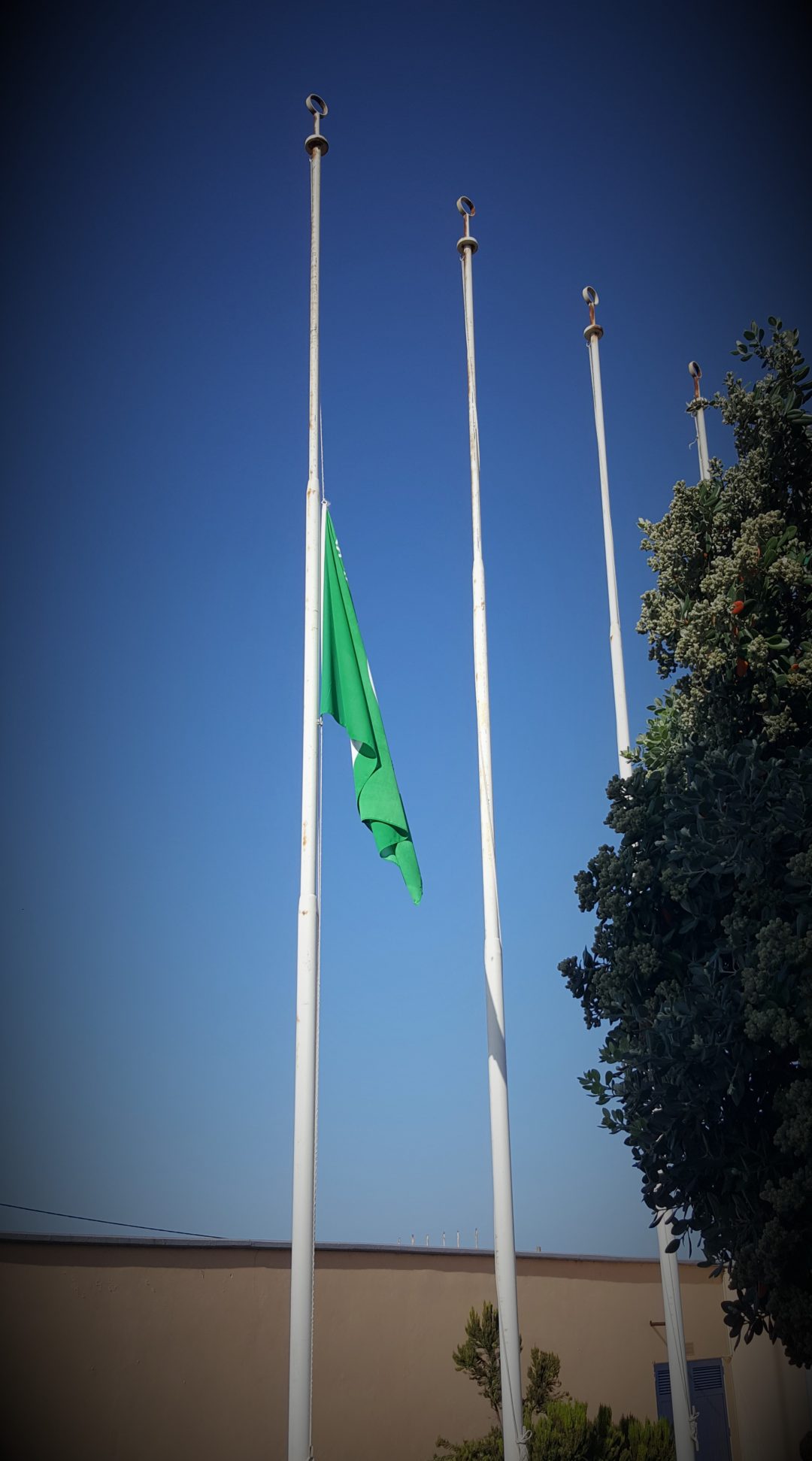 Greve Climática Global – 27 setembro