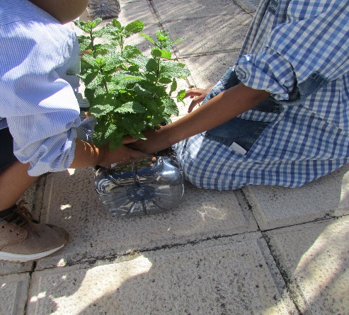 “JI do Barril faz pelo clima”