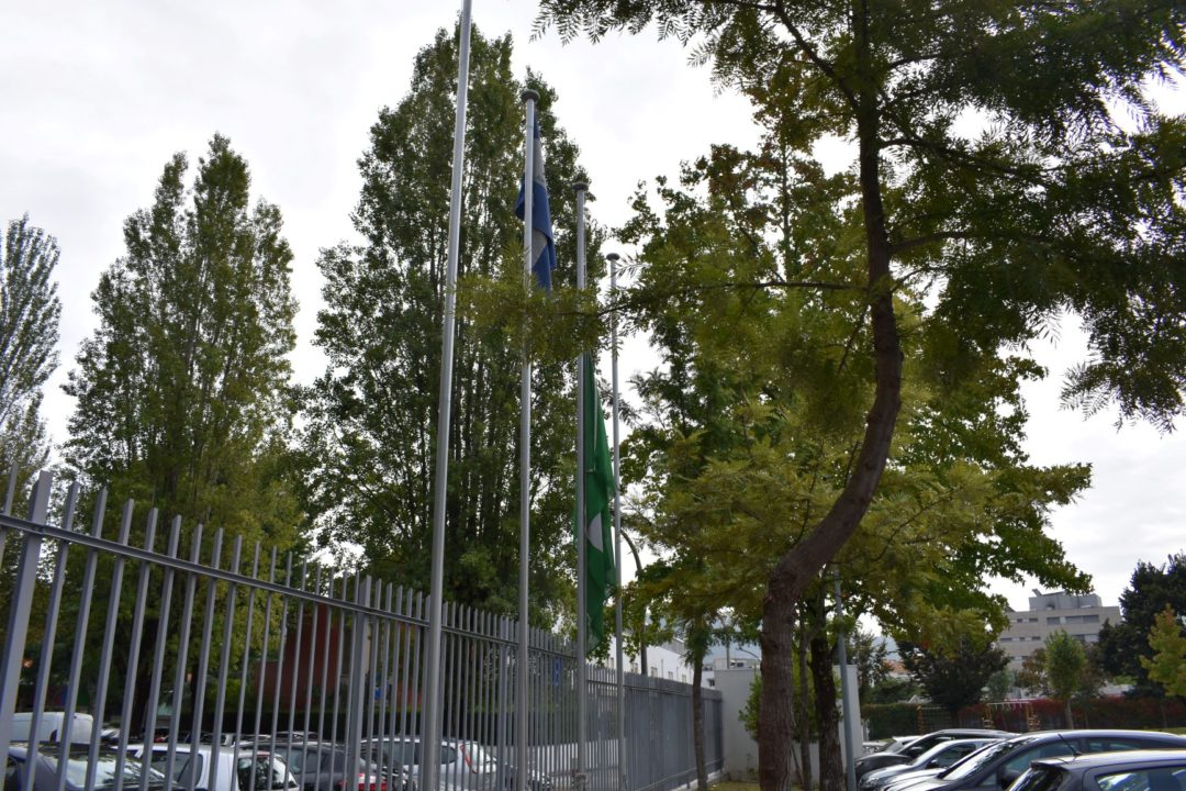 Bandeira Verde a meia haste