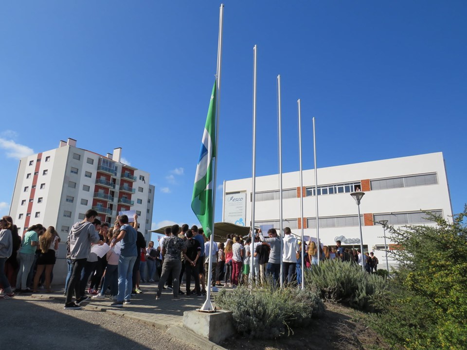 70853316_2959611530734580_1179300991875416064_n