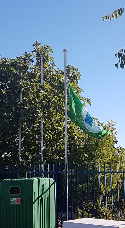 AE de Vidigueira # Eco-Escola Faz pelo Clima # Global Action Day