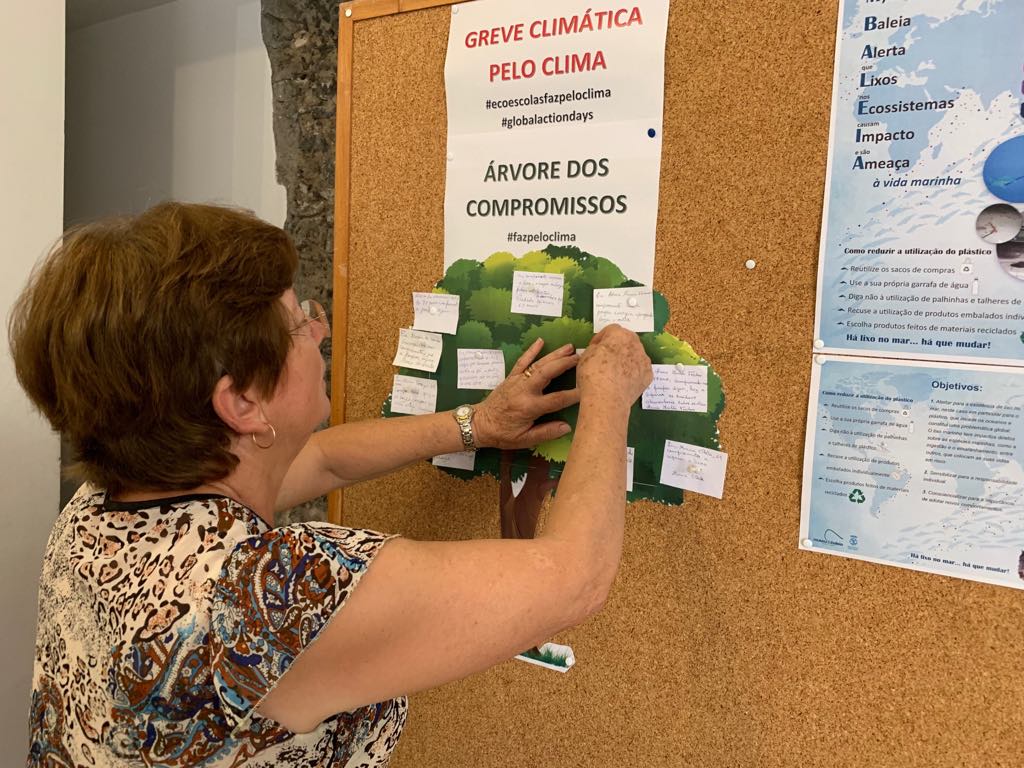 71116205_398586590840341_2697516169451012096_n