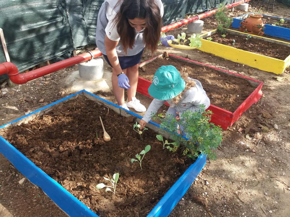 71135176_2532795920076470_6048179289893896192_n